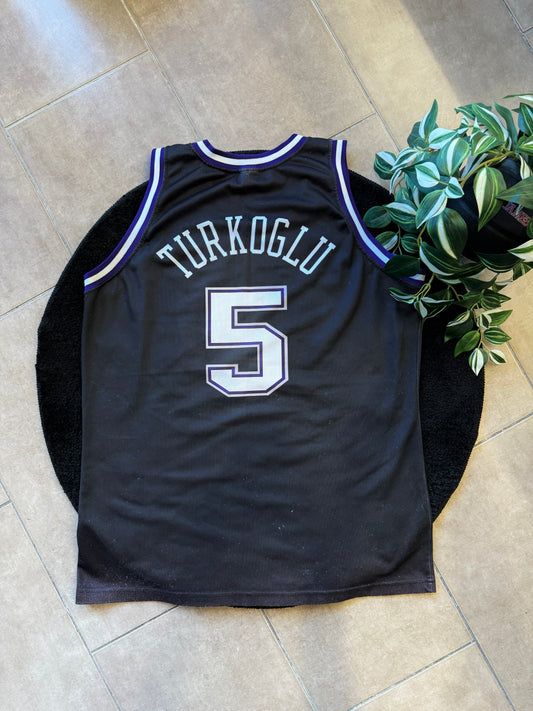 #5 Hedo Türkoğlu Sacramento Kings